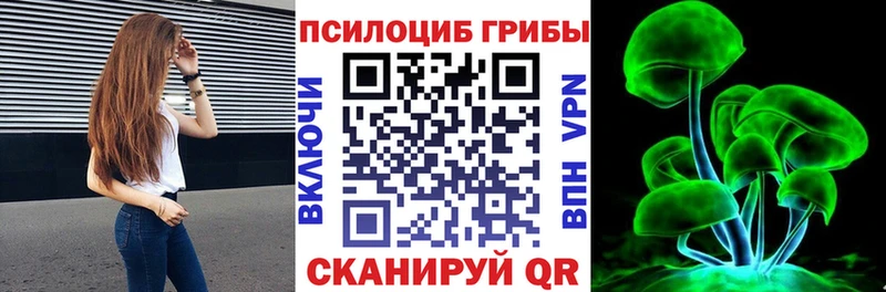 Псилоцибиновые грибы Psilocybe купить наркоту Снежинск